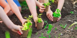 Youth and Sustainable development Strategies Course