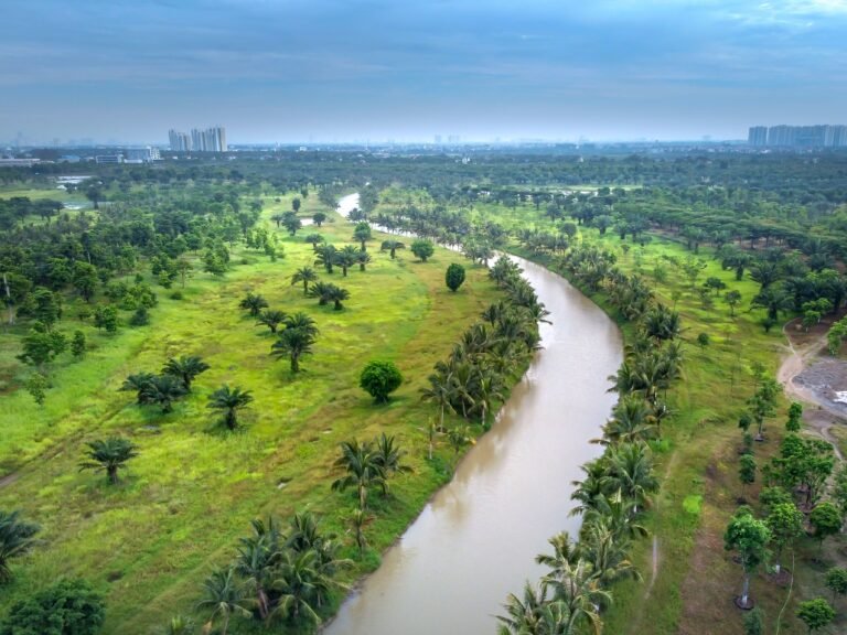 Stunning aerial view of a winding river through lush greenery with city skyline in the distance.