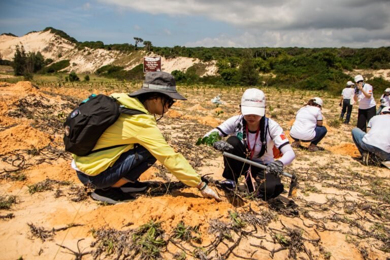 A group of volunteers planting trees in the sandy dunes of Phan Thiết, Vietnam.