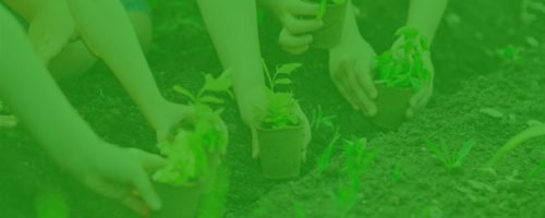 Youth and Sustainable Development Strategies